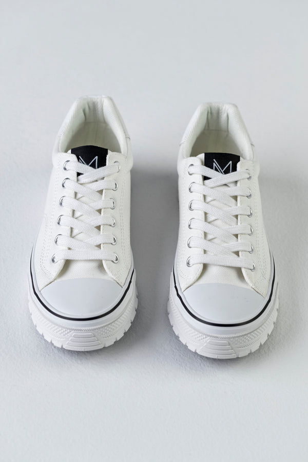Lace-up fastening canvas sneakers