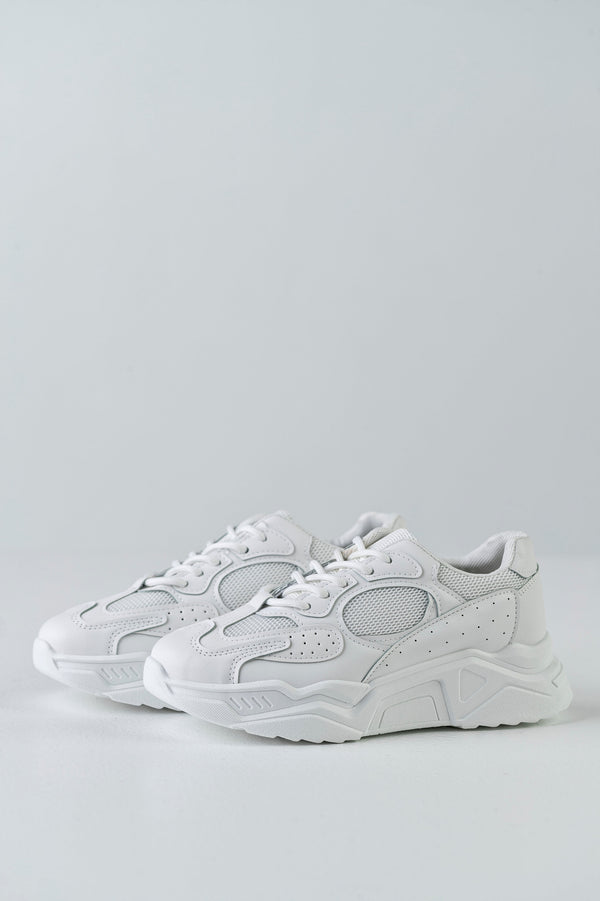 Lace-up fastening sneakers