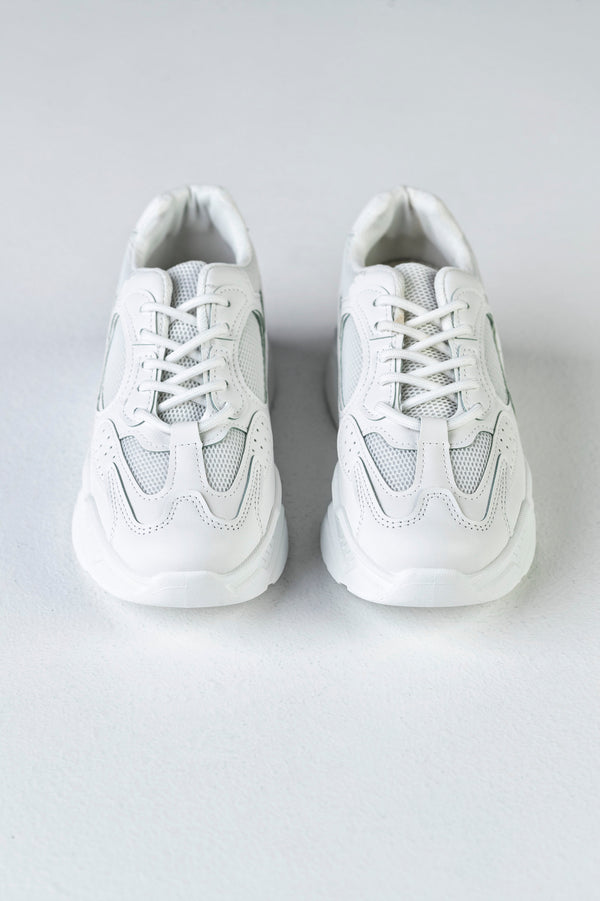Lace-up fastening sneakers
