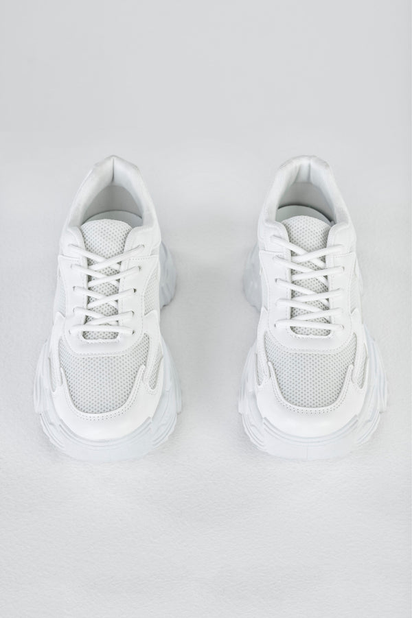 Lace-up fastening sneakers