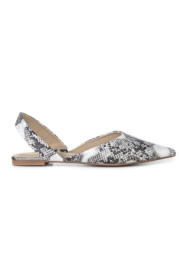 Slingback, pointed toe shoes